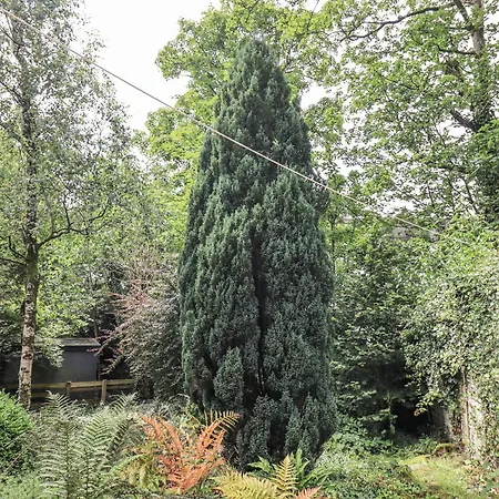 Doe Foot Holiday home